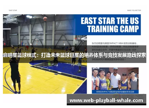 启明星篮球模式：打造未来篮球巨星的培养体系与竞技发展路线探索