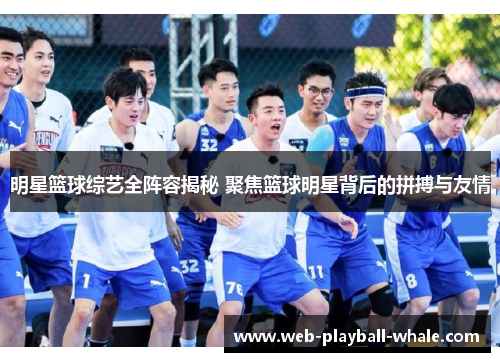 明星篮球综艺全阵容揭秘 聚焦篮球明星背后的拼搏与友情