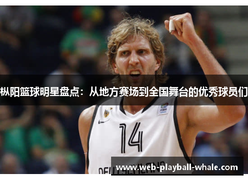 枞阳篮球明星盘点：从地方赛场到全国舞台的优秀球员们