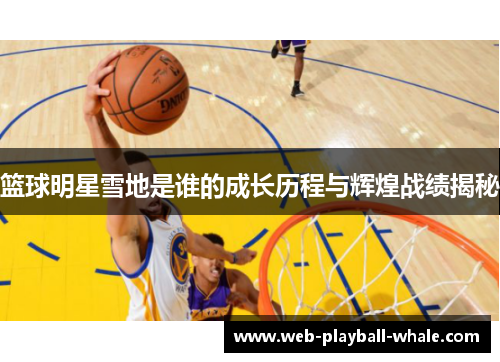 篮球明星雪地是谁的成长历程与辉煌战绩揭秘