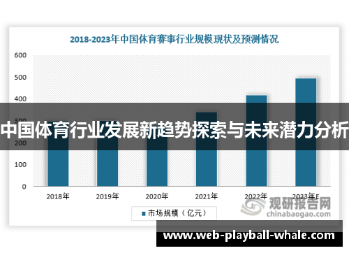 中国体育行业发展新趋势探索与未来潜力分析