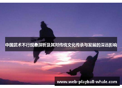 中国武术不行现象探析及其对传统文化传承与发展的深远影响