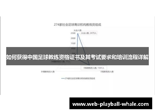 如何获得中国足球教练资格证书及其考试要求和培训流程详解