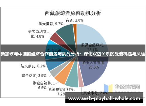 新加坡与中国的经济合作前景与挑战分析：深化双边关系的战略机遇与风险