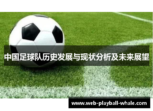 中国足球队历史发展与现状分析及未来展望