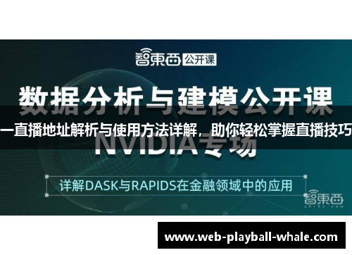 一直播地址解析与使用方法详解，助你轻松掌握直播技巧