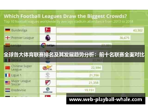 全球各大体育联赛排名及其发展趋势分析：前十名联赛全面对比